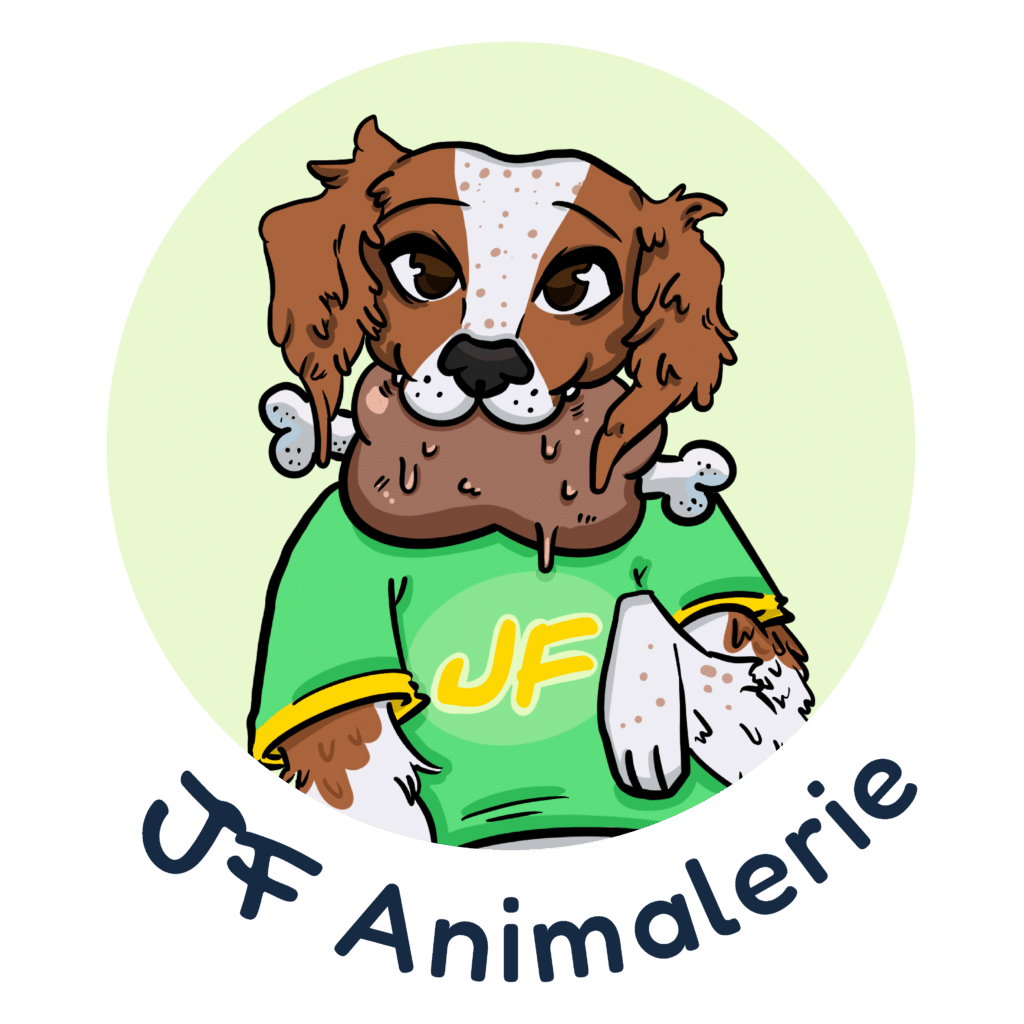 JF Animalerie | Chien | Nerf de boeuf