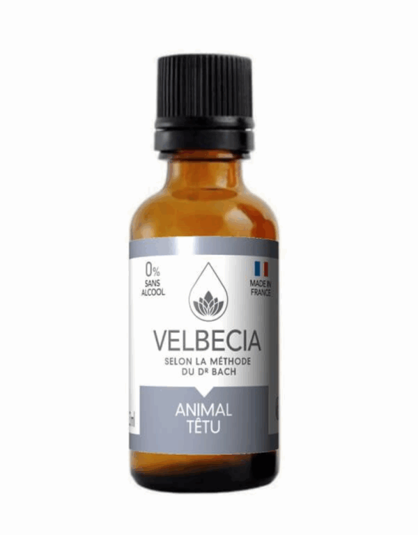 Capture d’écran 2025-10-24 à 10.26.21