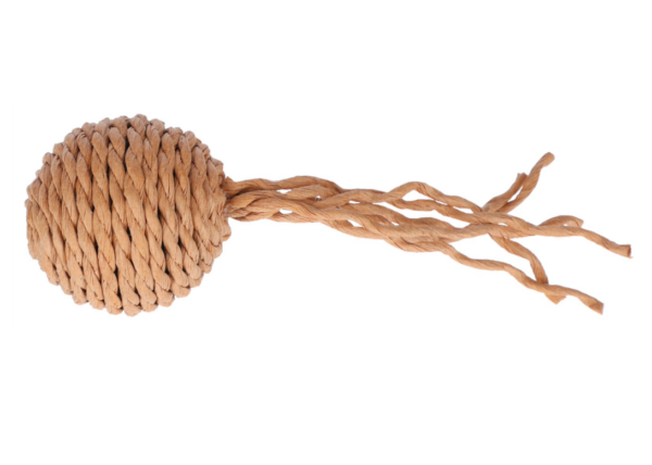 Capture d’écran 2025-12-03 à 09.59.06