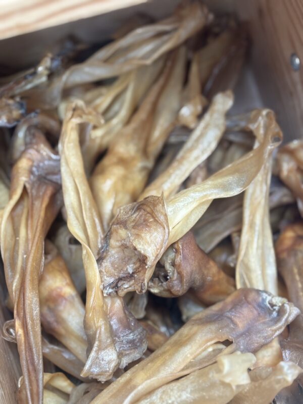 image-03-01-26-02-38